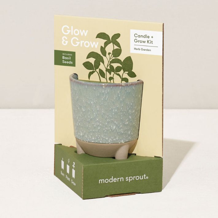 Basil Grow &amp; Glow Candle Kit