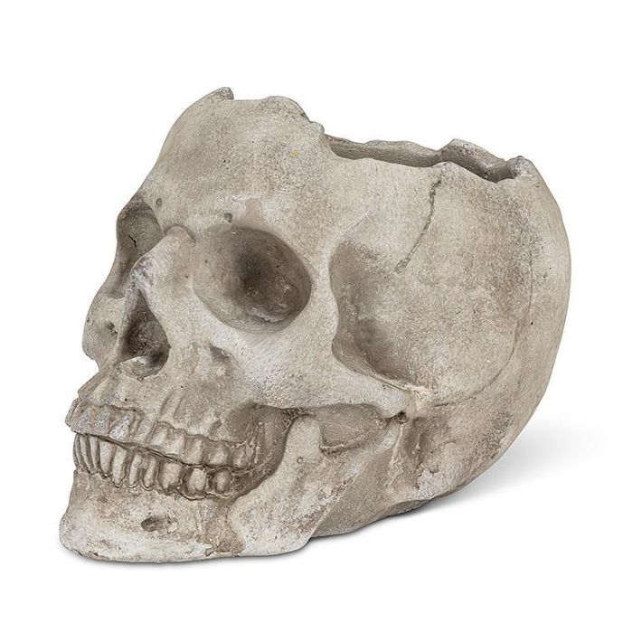 Lg Skull Planter