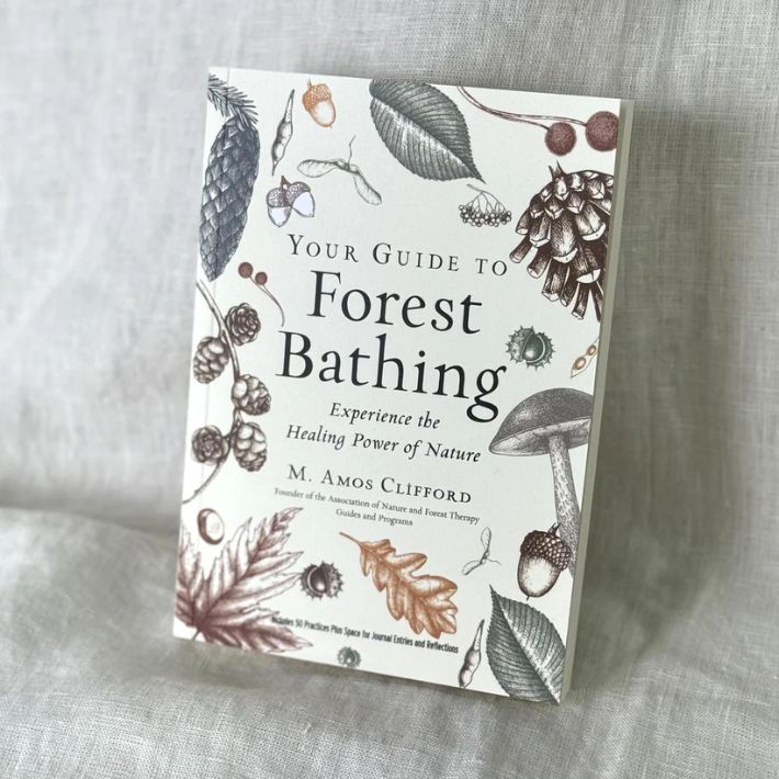 Your Guide to Forest Bathing by M. Amos Clifford