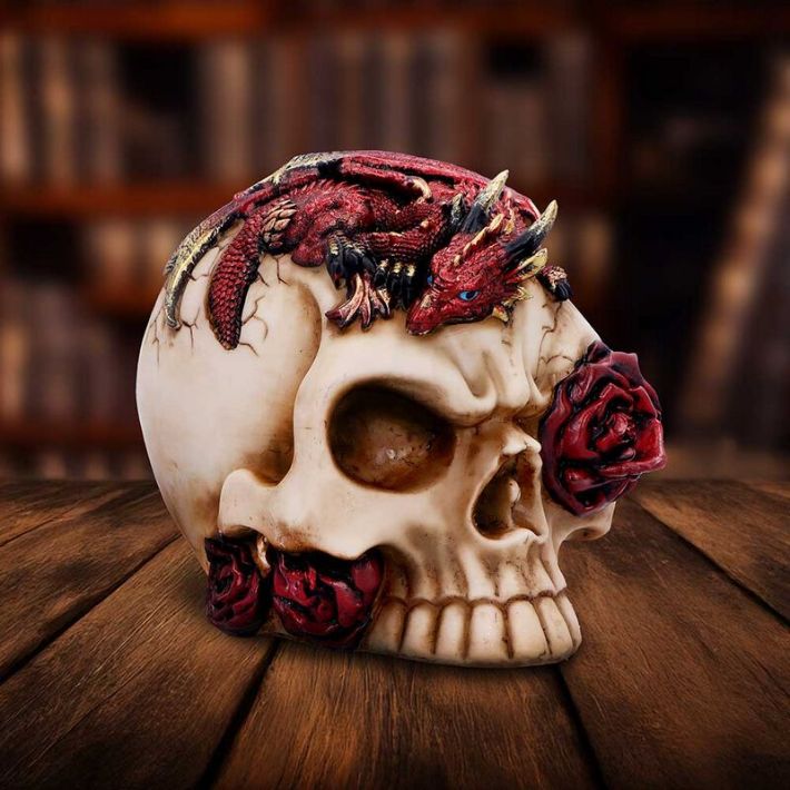 #397N Rose Flame Decorative Skull With Sleeping Dragon