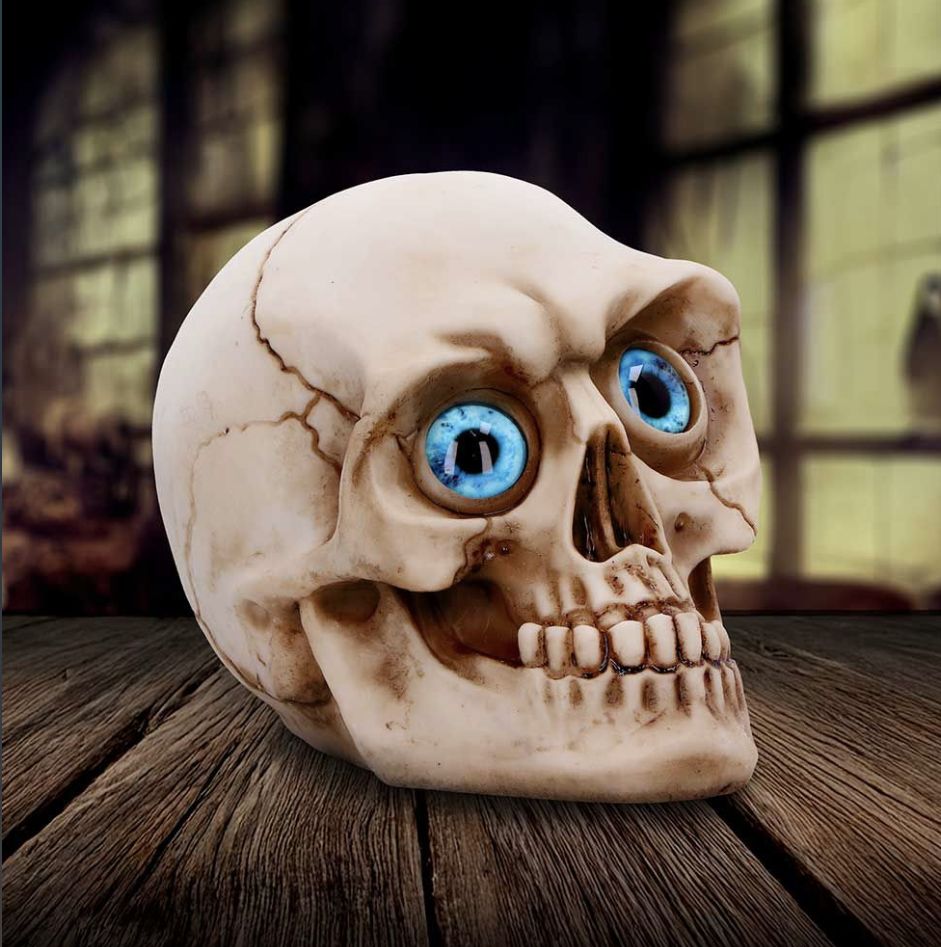 #398N Eyes Wide Open (Blue) Decorative Resin Skull
