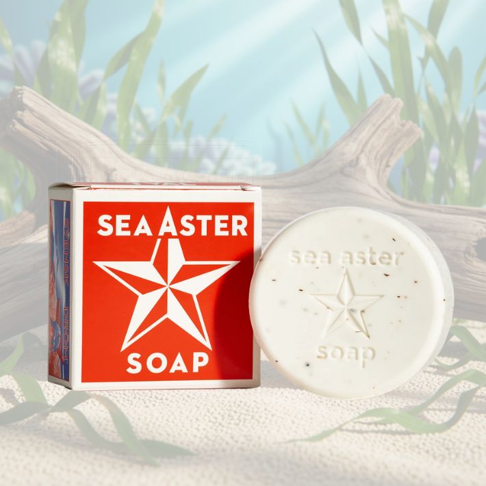 Swedish Dream Sea Aster Soap