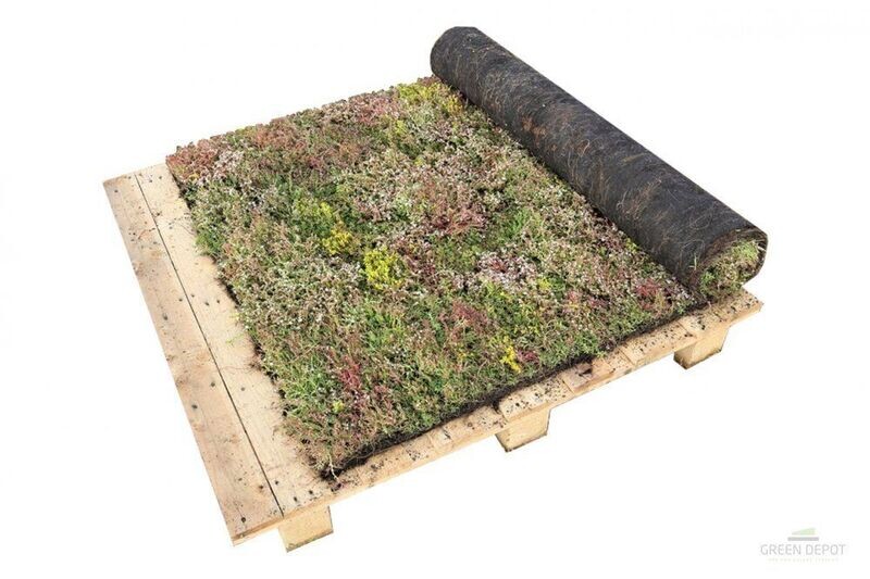 Vegetácia a hnojivá