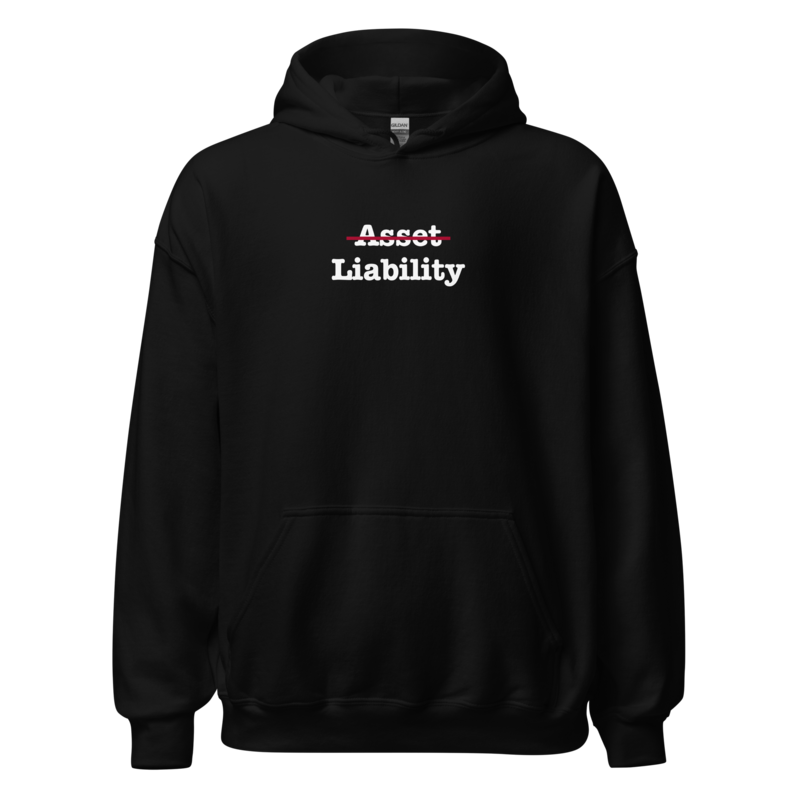Asset Liability Hoodie
