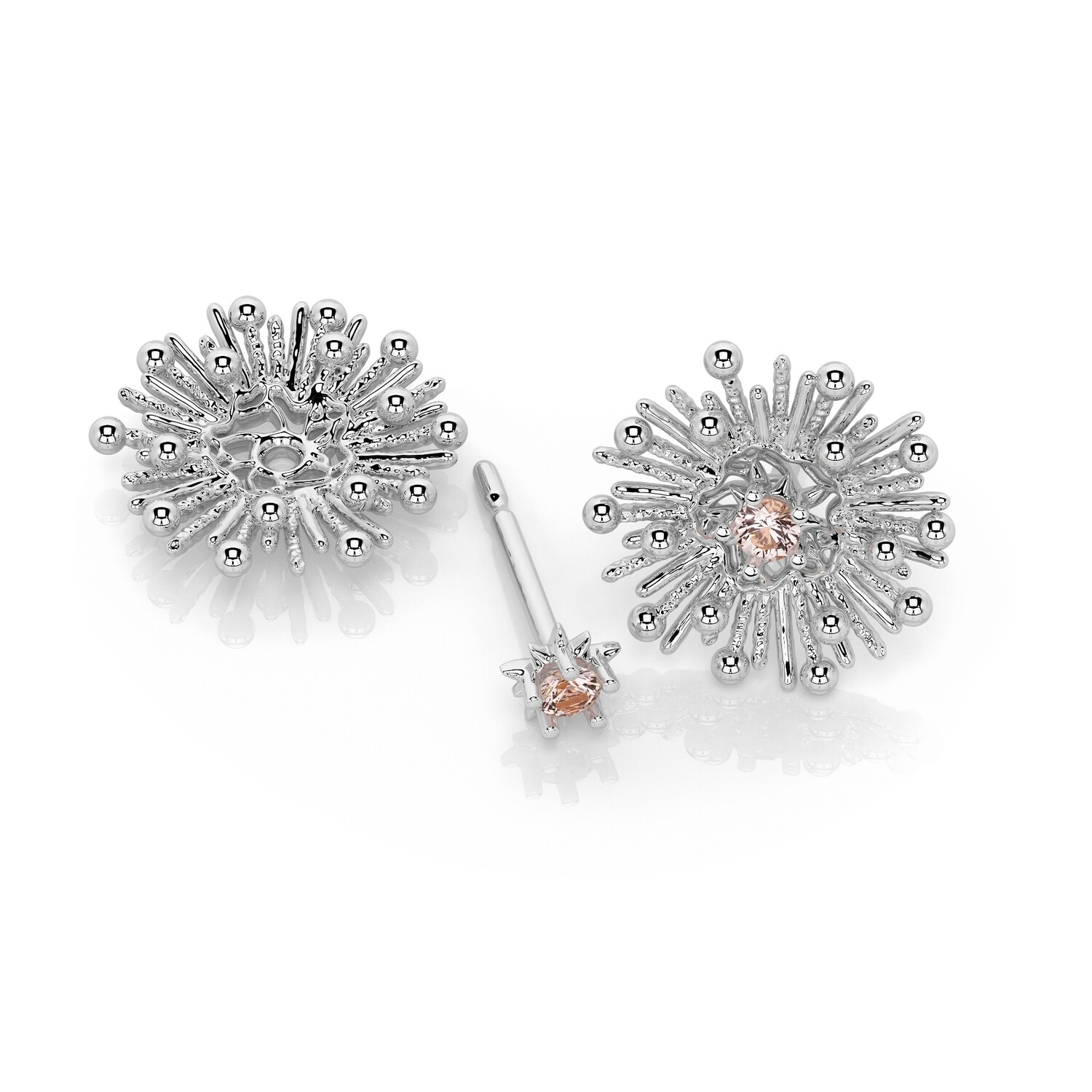 Shown here with our sunstar stud