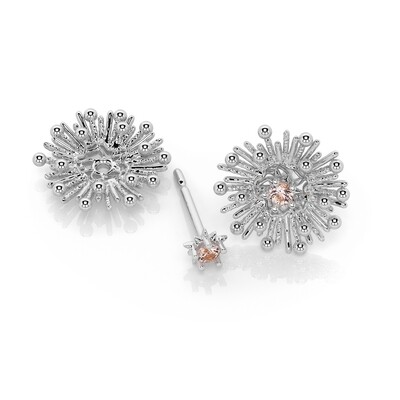 Shown here with our sunstar stud
