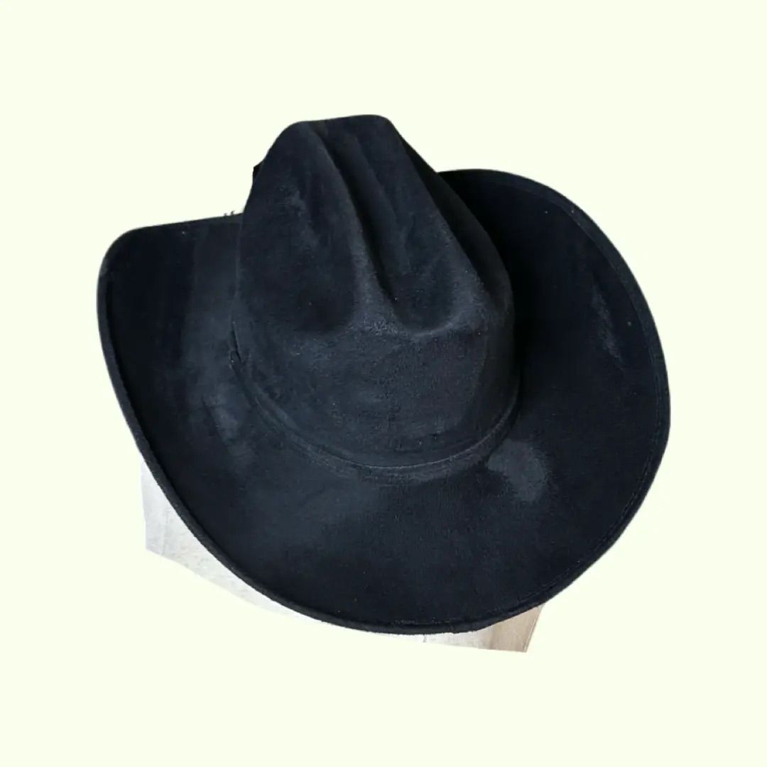 Yellowstone Cowgirl Hat-Black Beauty