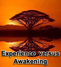 Experience vs Awakening - 4/20/16