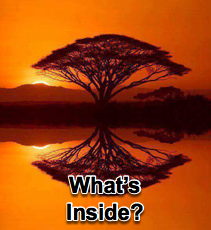 What's Inside - 9/16/15