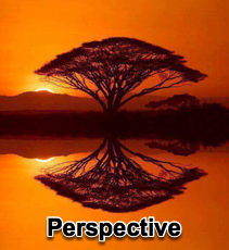 Perspective - 10/15/14