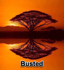 Busted - 10/16/13