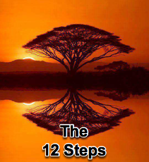 The 12 Steps - 12/19/12