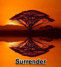 Surrender - 5/20/11
