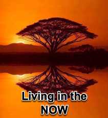Living in the NOW - 11/21/07