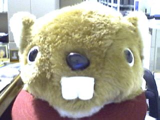 Roger B. - FREE!   The History of Gopher State Tape Library   FREE!