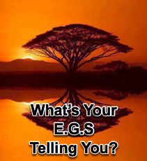 What&#39;s Your E.G.S. Telling You? - 7/16/08