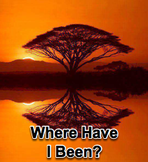 Where Have I Been? - 4/16/08