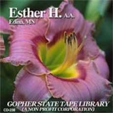 The Esther H. Story