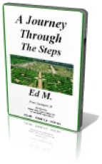 The 12 Steps