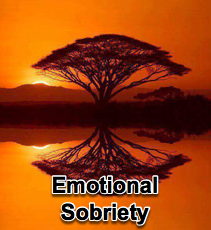 Emotional Sobriety - 1/21/15