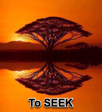 To Seek - 11/15/15