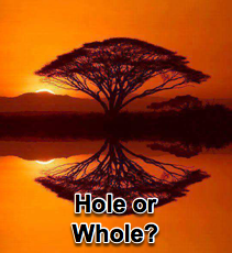 Hole or Whole? - 1/21/09