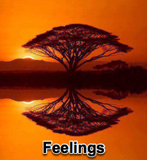 Feelings - 2/16/11