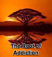 The Root of Addiction - 2/18/15