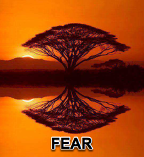 FEAR - 10/17/12
