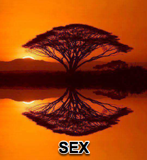 SEX - 6/18/08