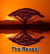 The Reveal - 10/15/08