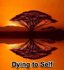 Dying to Self - 5/16/12