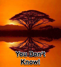 You Don&#39;t Know What You Don&#39;t Know - 8/20/14