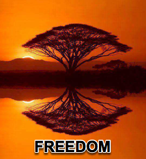 Freedom - 1/20/16