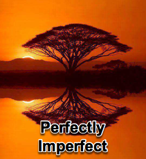 Perfectly Imperfect - 1/15/14