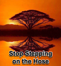 Stop Stepping on the Hose - 5/19/10