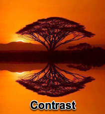 Contrast - 3/20/11