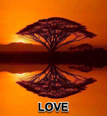 Love - 7/14/13