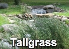 Tallgrass Big Book Study - 2017