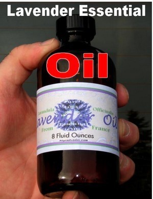 Lavender Oil Bulk, 8oz glass bottle, Pure Essential Oil, Priced per bottles