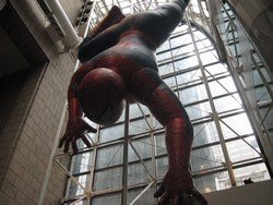 Spiderman (New York, NY), 11"x 14" Canvas, Priced Each