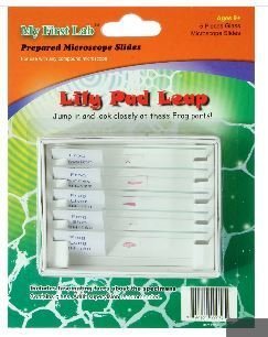 Lily Pad Leap 5pc Slide Set, Priced Per Set