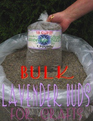 lavender Buds