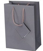 Paper Gift Bags with Gift Tag, Solid Color, 4 3/4"x 2 1/2"x 6 3/4", 20 Pk