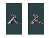 Shoulder Pins, Generalissimo (Pair)