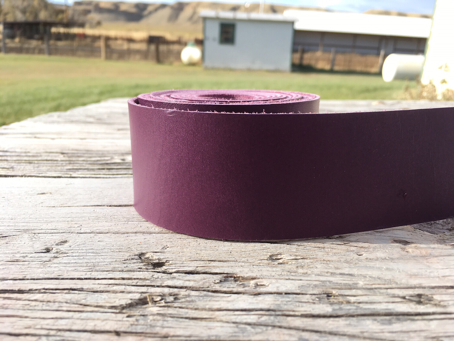 Purple Chap Horwrap