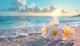 SWEET AROMA - NEW - Oil of Gladness, to break witchcraft
