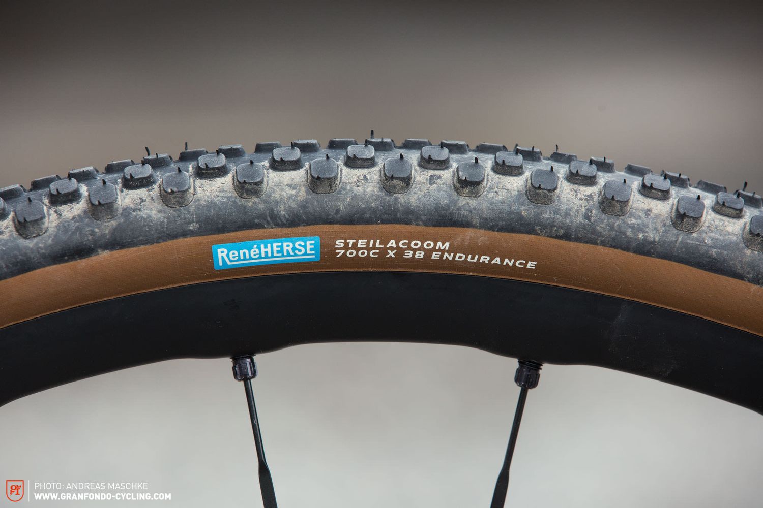 Rene Herse Steilacoom TC Tire- Tubeless, Folding, 700 x 38mm