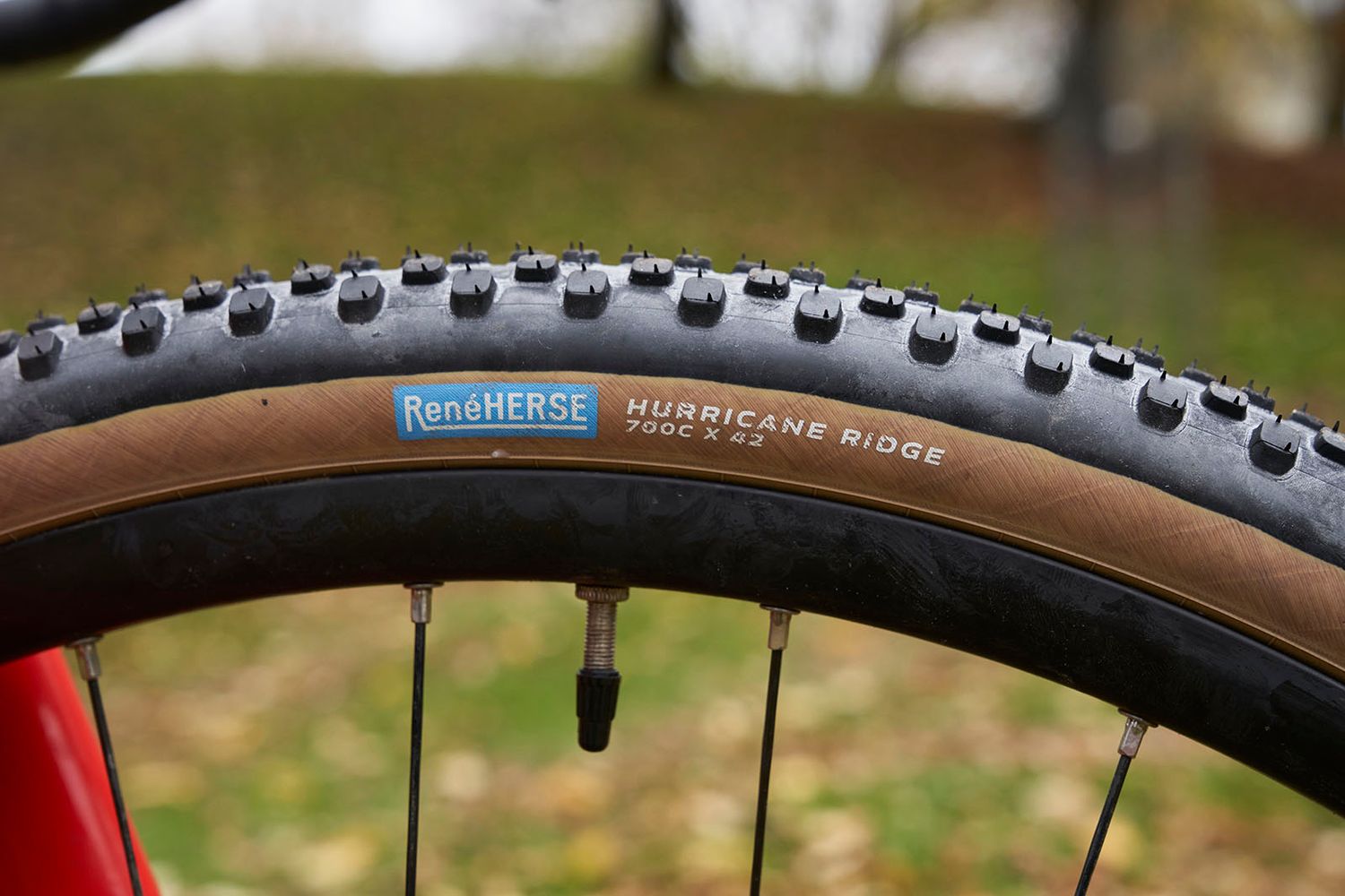 Rene Herse Hurricane Ridge 700 x 42mm