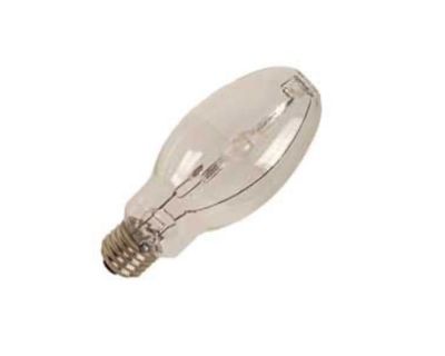 Specialty &amp; HID Replacement Lamps